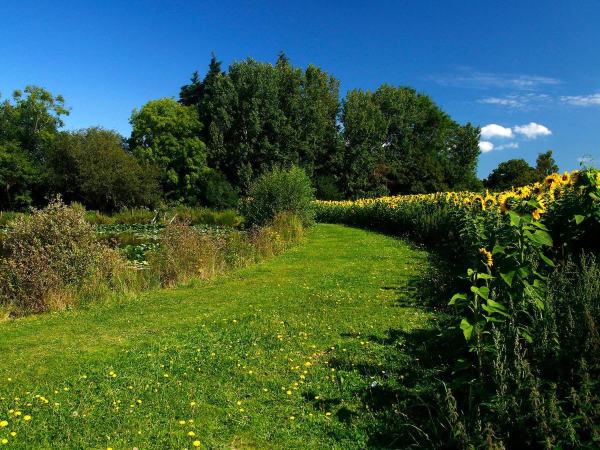 Birch Lodge Newton Abbot Eksteriør bilde